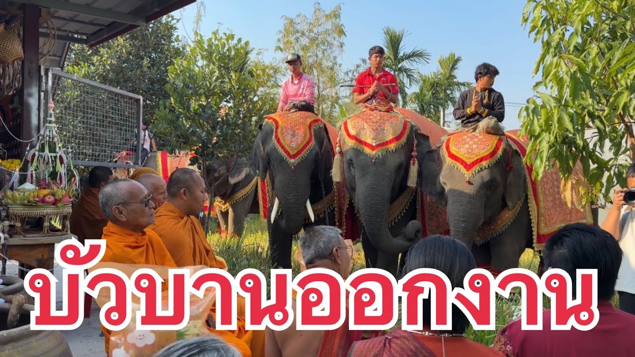 คุณตาดีใจ บัวบานมาบ้าน 