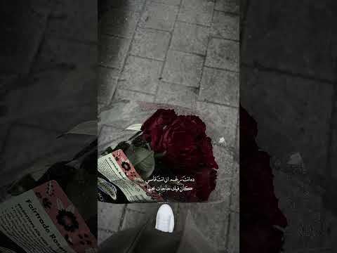 وأنا لسه باقي ع الحاجات