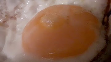 Synth supper 4 - gammon, eggs and Sequential OB-6, single sound, no outboard, for Synth Punk.