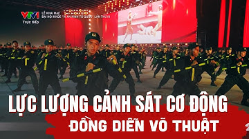 Lực lượng Cảnh sát cơ động đồng diễn võ thuật mãn nhãn trong Đại hội khoẻ "vì an ninh tổ quốc"