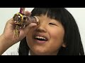 夏の特別展 物理学者が出会った美の世界 カレイドスコープワンダーランド