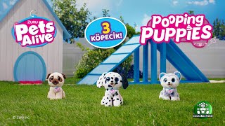 Sesli Köpeğim | Pets Alive | GP Oyuncak Resimi