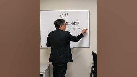 Visual Hallucinations