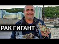 РИБОЛОВ НА ЗАРГАНА С ДЖИГ! ПОПЧЕТА НА ВОЛТИ СЪС СТРЪВ ОСОЛЕНА ЦАЦА, РАПАНИ, КАЛМАРИ И СКАРИДИ!!!