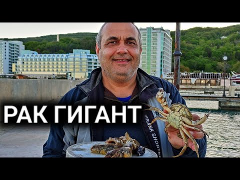 Видео: Какво е стръв за риболов - 