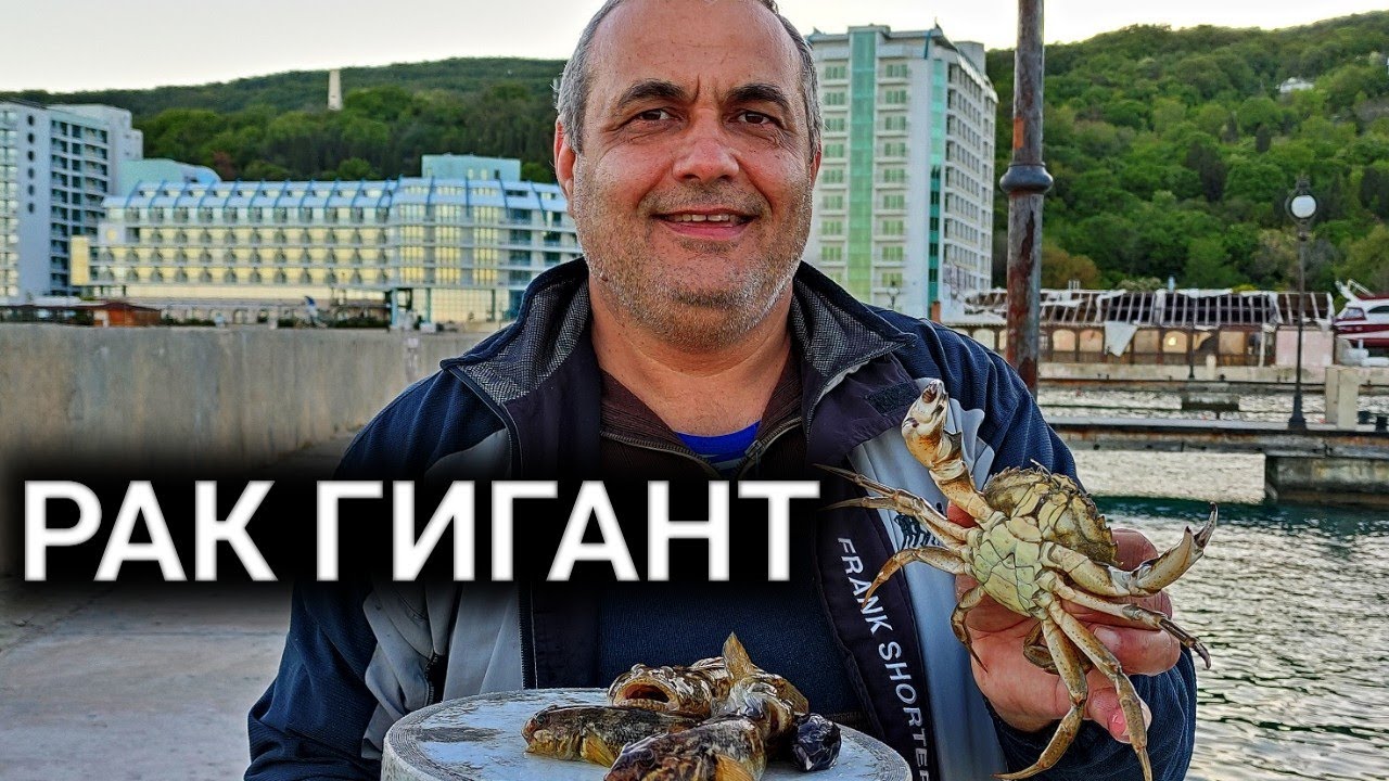 РИБОЛОВ НА ЗАРГАНА С ДЖИГ! ПОПЧЕТА НА ВОЛТИ СЪС СТРЪВ ОСОЛЕНА ЦАЦА, РАПАНИ, КАЛМАРИ И СКАРИДИ!!!