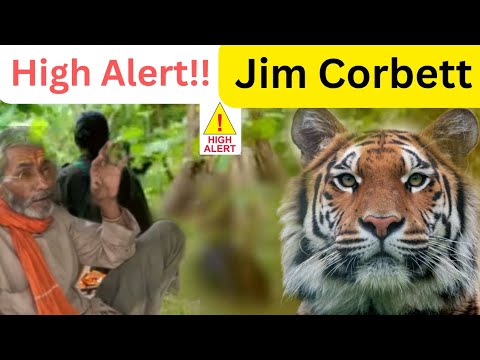 High Alert In Jim Corbett National Park | कॉर्बेट में हाई अलर्ट | Jim Corbett
