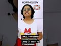 Morpheme & Phoneme | morphology & Phonology| #shorts