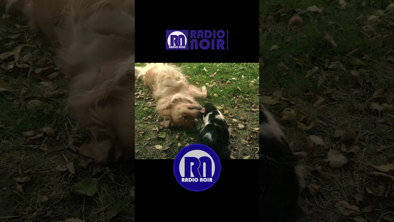 Zostań bohaterem wieczoru w Radiu Noir! 