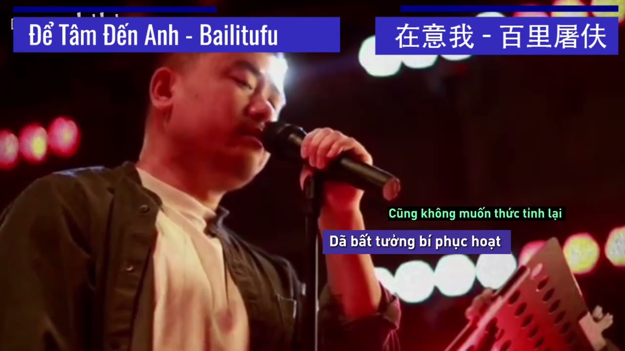 [ Vietsub - Hán Việt ] Để tâm đến anh - Bailitufu | 在意我 - 百里屠伕