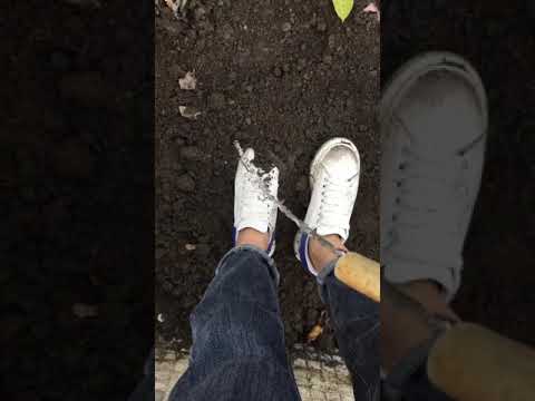 Girlfriend muddy blue Alexander McQueen