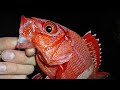 世界遺産で本気の穴釣り。Fishing at a World Heritage Site. 세계유산으로 낚시.在世界遗产地钓鱼