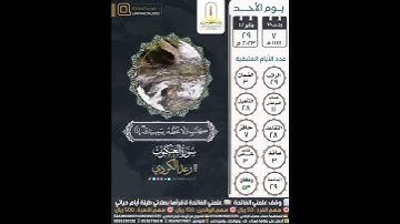 وما كنت تتلوا من قبله من كتاب ولا تخطه بيمينك... سورة العنكبوت ٤٨-٤٩ | رعد الكردي