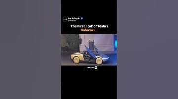 The First Look of Tesla