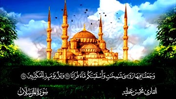 سورة المرسلات القارئ محسن عطيه