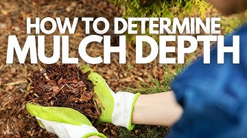 How to determine mulch depth for your landscape beds