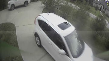 D-220R Front yard speed insanity  from Cyclone FPV