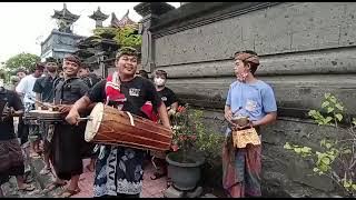 viral pengantin di sambut dengan baleganjur bebarongan