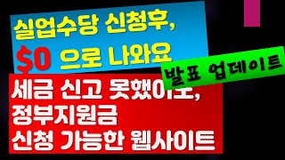 실업수당 신청을 했는데, $0 나오는 이유에 대해서 & 2018,2019 세금 신고 못하신분 빠르게 지금 입력하셔서 정부지원금 받으실수 있는 IRS 웹사이트  - 뉴욕 키다리 쌤