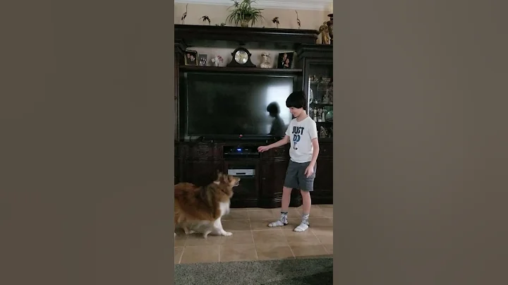 I love dogs
