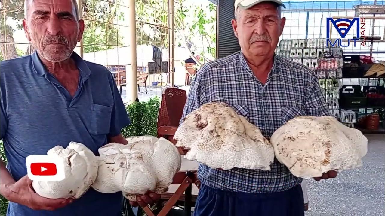 Tukli mushuk porno video