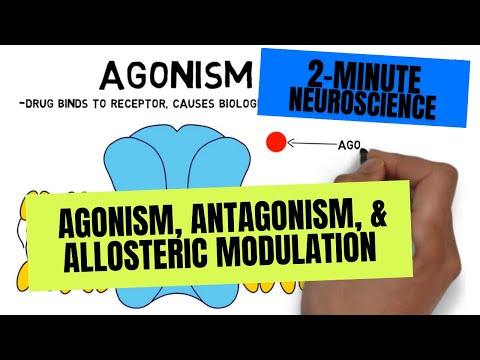 2-Minute Neuroscience: Agonism, Antagonism, & Allosteric Modulation