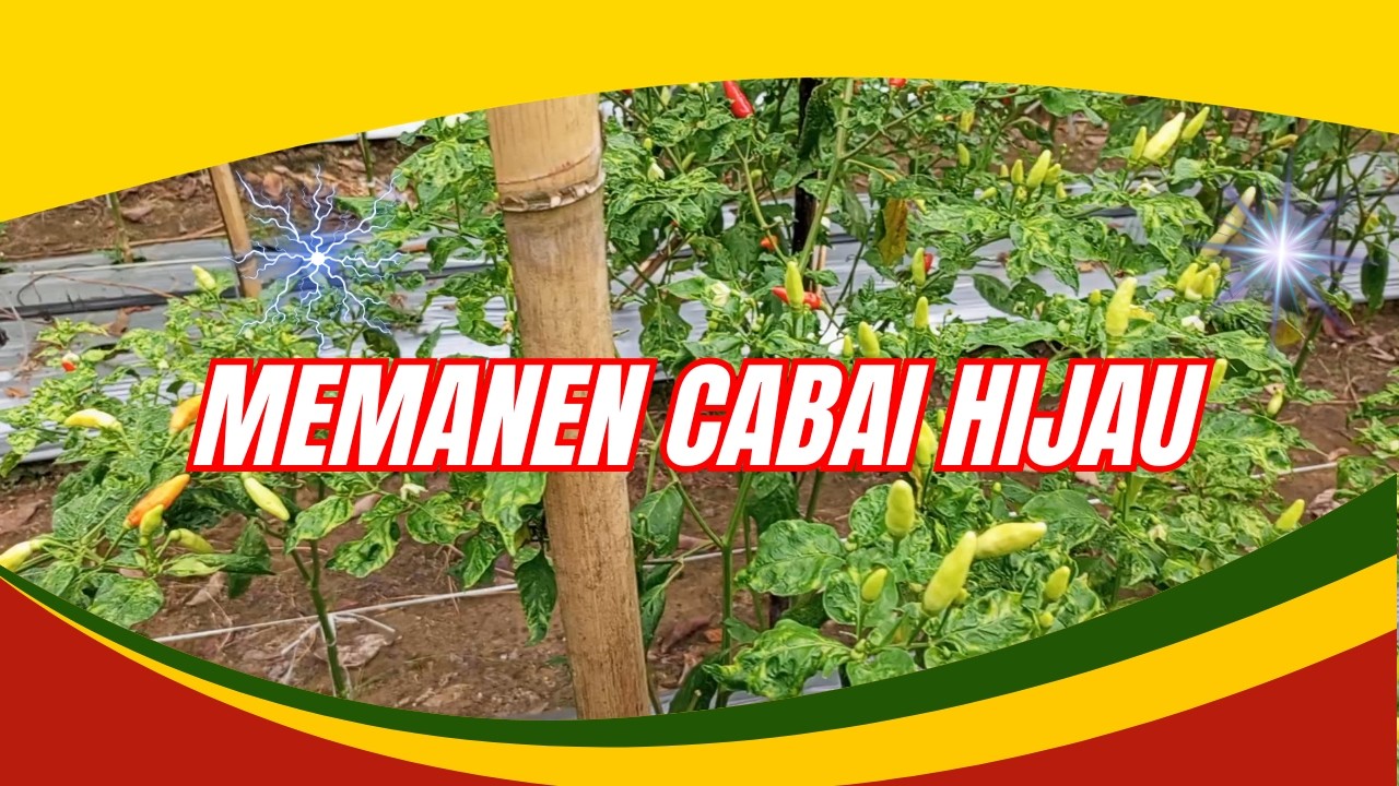 TASYA ROSMALA - SELIMUT BIRU || OM ADELLA FULL ALBUM TERBARU 2025