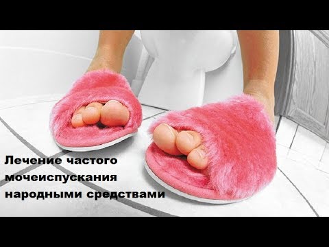 Лечение частого мочеиспускания народными средствами