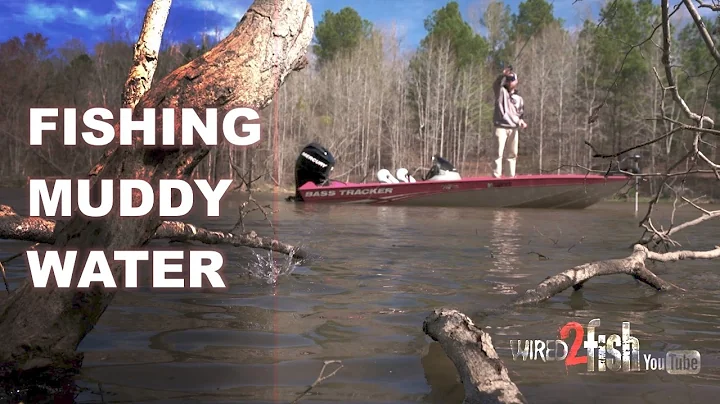 Get Better Bass Fishing in Muddy Water with These Tips