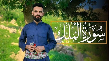 سورة الملك كاملة بتلاوة هادئ بصوت عبدالوهاب محمد الكردي #abdulwahabalkurdi #abdulwahab2m #quran