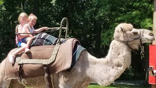 What Vegans Do | Family Visit to Living Treasures Wild Animal Park!