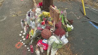 Celebrity Lindbergh High School student dies after car crash into pole Wealth