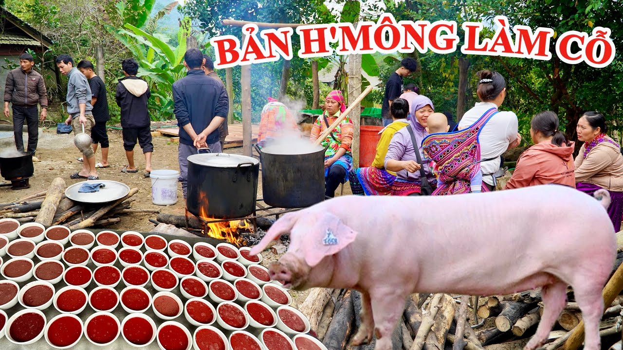 P1 - NGÀY ĐẦU TIÊN CỦA ĐÁM CƯỚI H'MÔNG