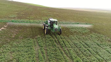 Automated Spot-Spraying Specific Weed in Emerged Crop