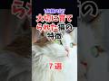 全部あったら最高の飼い主 猫の育て方で変わる行動の変化 #人類ねこ同盟 #ねこのきもち