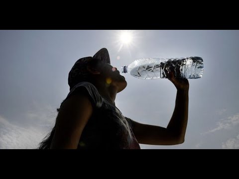 Vidéo: Les plantes pendant une vague de chaleur : Garder les plantes sous leur meilleur jour pendant les vagues de chaleur