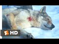 Alpha (2018) - Man's Best Friend Scene (9/10) | Movieclips