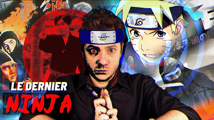 LE DERNIER NINJA - OVNI#07 - Mathieu Sommet