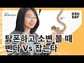 탐폰 소변볼때 빼야하나요? 【궁금한데이】