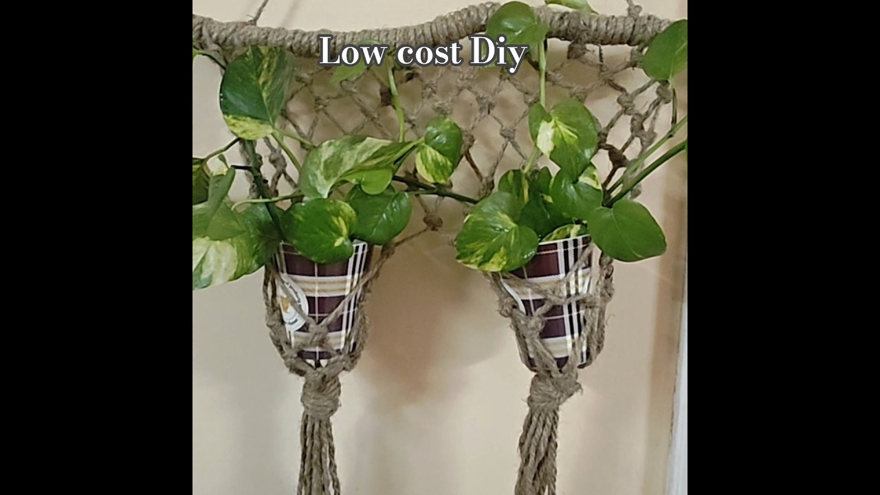 DIY Rope Plant Hanger 🌿 | Easy & Low Cost 