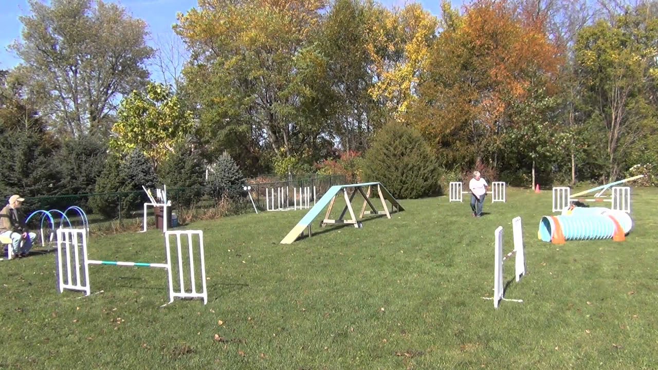 2015 10 26 Agility Flow Ex 5 DW - YouTube