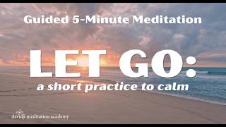 The Source: A 5-minute Guided Meditation | davidji