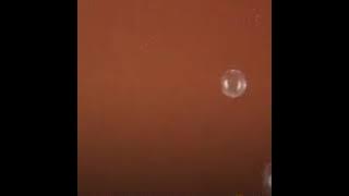 Sebuah nama rita sugiarto cover angka dan Rg