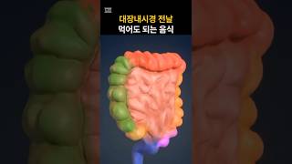 대장내시경전음식 #대장내시경 #대장내시경음식 #대장내시경전날음식 #대장내시경전식단