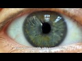 Glaucoma tem cura? www.iorj.med.br