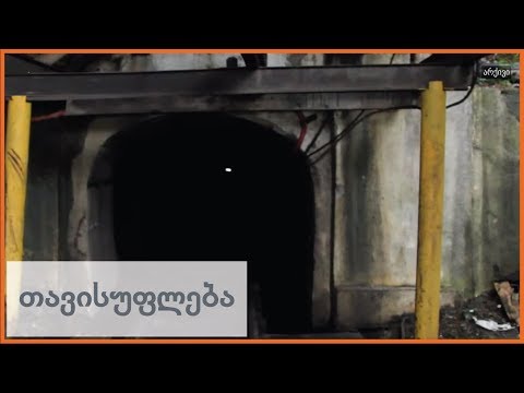 ამუშავდება თუ არა ტყიბულის შახტები?