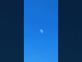 真昼の月【Midday moon】いきものがかり #Shorts