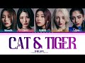 Xin cat  tiger lyrics color coded lyrics