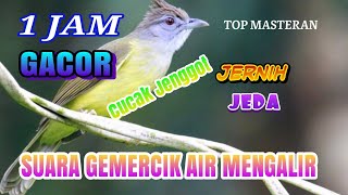 Masteran burung cucak jenggot gacor dan suara gemercik air mengalir durasi 1 jam