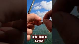 THE RIGI USE FOR CATCHING GARFISH